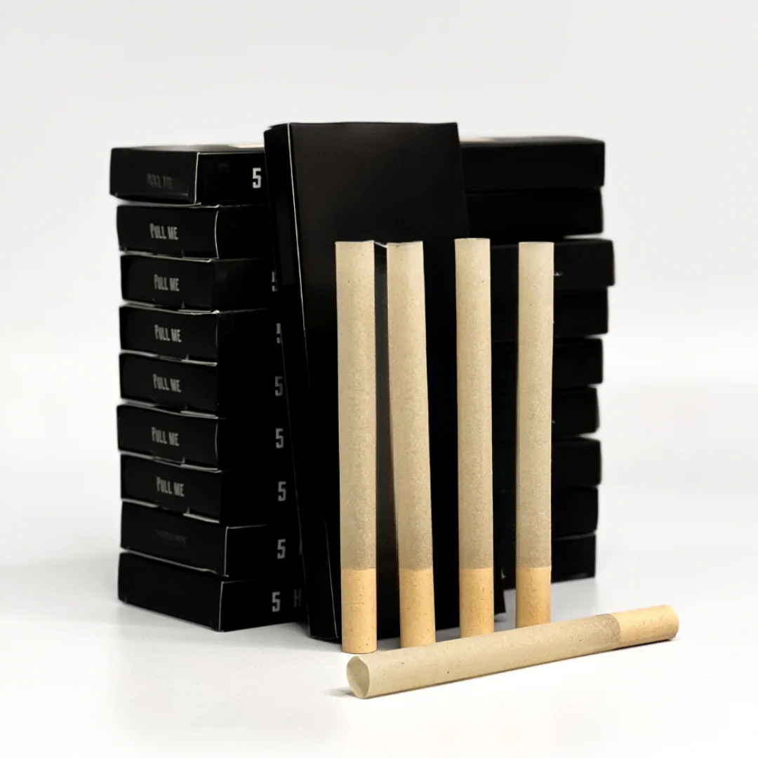 Pack of Paper Shells - Image 6